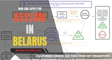 Asylum in Belarus: Application Process Explained