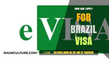 Step-by-Step Guide to Applying for a Brazil Visa Easily