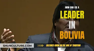 Leading in Bolivia: Strategies for Success