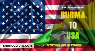 Navigating the Journey: Bringing Treasures from Burma to the USA