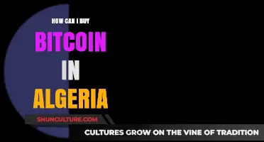 Buying Bitcoin in Algeria: A Step-by-Step Guide for Beginners