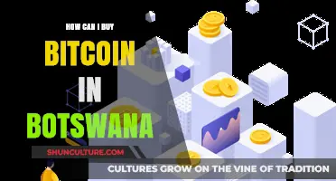 A Beginner's Guide to Buying Bitcoin in Botswana Safely