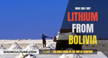 Buying Lithium in Bolivia: A Comprehensive Guide