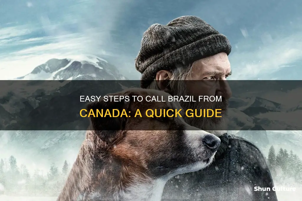how can I call from canada to brazil