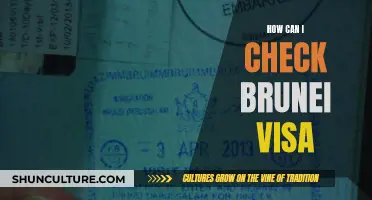 Brunei Visa: Quick and Easy Verification Process