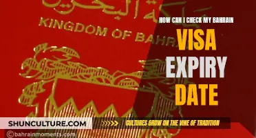 Bahrain Visa: Check Your Expiry Date Easily