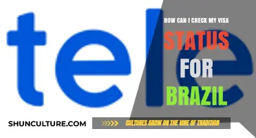 How to Easily Check Your Brazil Visa Status Online