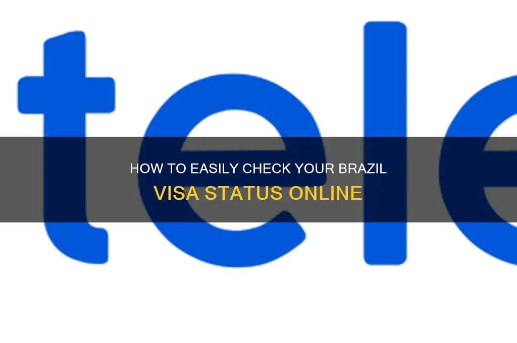 how can I check my visa status for brazil
