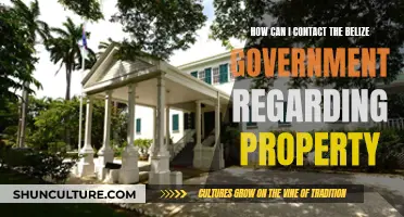 Belize Property: Contacting the Government