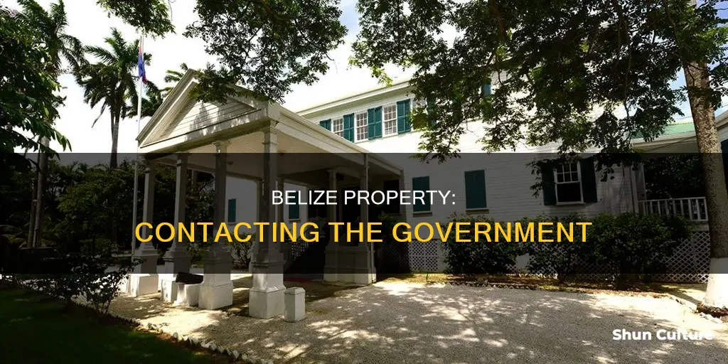 how can I contact the belize government regarding property