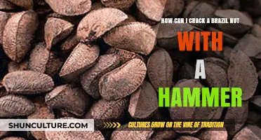Cracking Brazil Nuts: Hammer Techniques for Easy Shell Removal