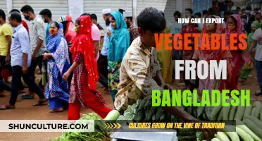 Exporting Vegetables from Bangladesh: A Comprehensive Guide to Success