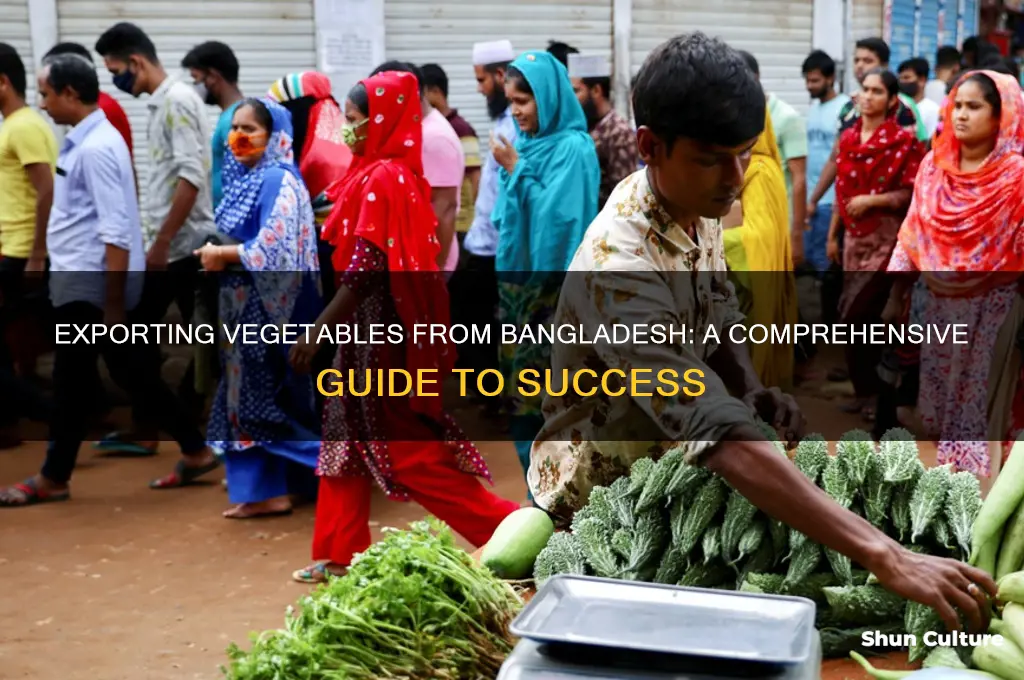 how can I export vegetables from bangladesh