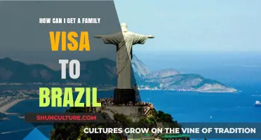 Guide to Obtaining a Family Visa for Brazil: Steps and Requirements