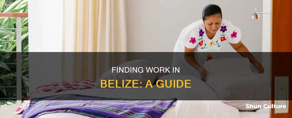 how can I get a job in belize