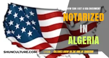 Notarizing USA Documents in Algeria: A Comprehensive Guide for Expats