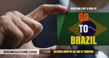 Your Guide to Obtaining a Brazilian Visa: Steps and Tips