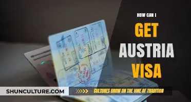 A Comprehensive Guide to Getting Your Austrian Visa