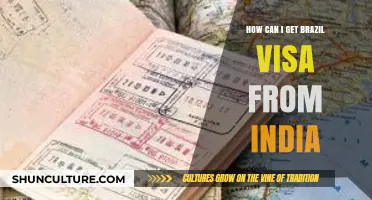 Step-by-Step Guide: Obtaining a Brazil Visa for Indian Citizens