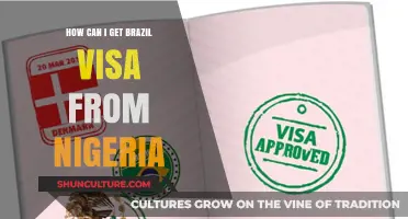 Step-by-Step Guide to Obtaining a Brazil Visa from Nigeria