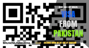 Step-by-Step Guide: Obtaining a Brazil Visa from Pakistan Easily