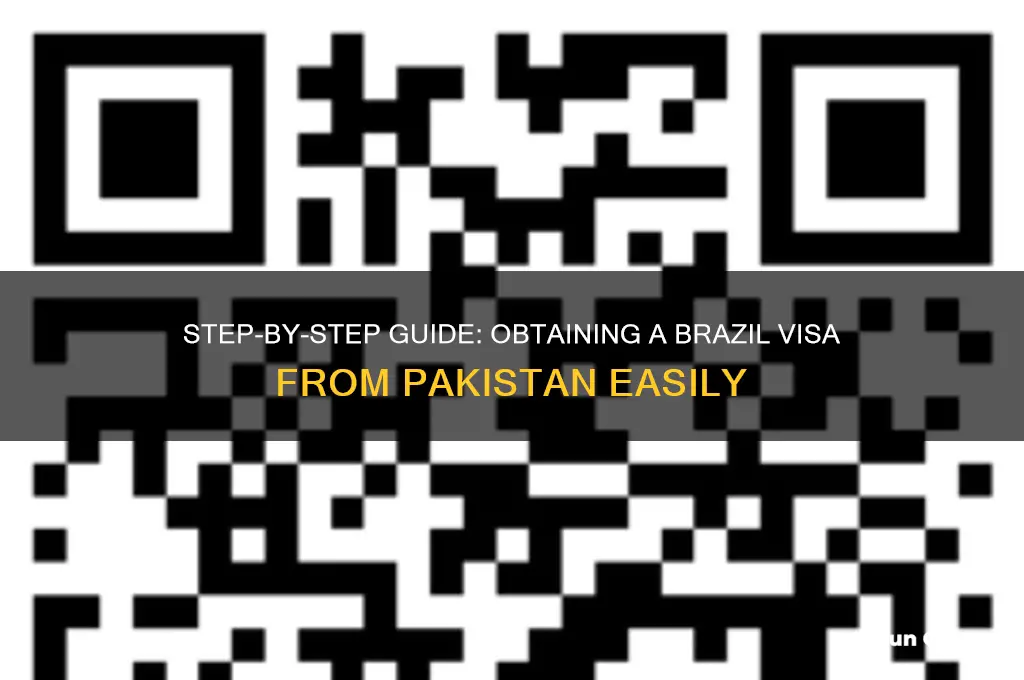 how can I get brazil visa from pakistan
