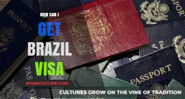 Your Complete Guide to Obtaining a Brazil Visa Effortlessly