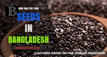Where to Buy Chia Seeds in Bangladesh: A Complete Guide