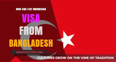 Indonesian Visa Application Guide for Bangladeshi Citizens: Steps & Requirements