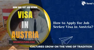 Unlock Your Future: Austria's Job Seeker Visa Guide