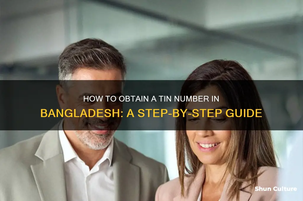how can I get tin number in bangladesh