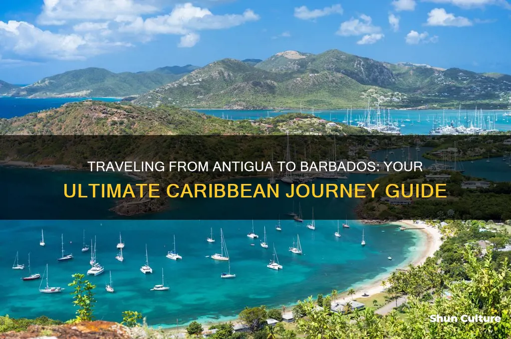 how can I get to antigua to barbados