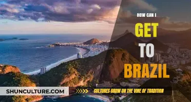 Traveling to Brazil: Essential Tips for Planning Your Journey