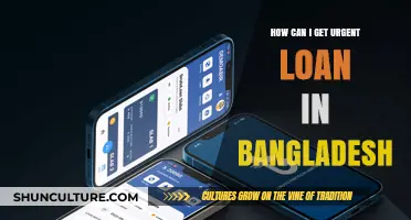 Urgent Loan Options in Bangladesh: Quick Approval and Application Tips