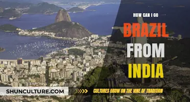 Traveling to Brazil from India: A Comprehensive Guide for Your Journey