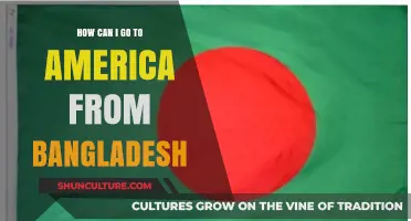 Step-by-Step Guide: Moving to America from Bangladesh Successfully