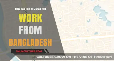 Work in Japan: A Step-by-Step Guide for Bangladeshis