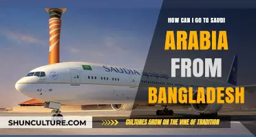 Travel Guide: Bangladesh to Saudi Arabia - Visa, Flights, and Tips