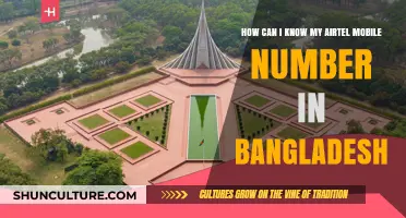 How to Check Your Airtel Mobile Number in Bangladesh Easily