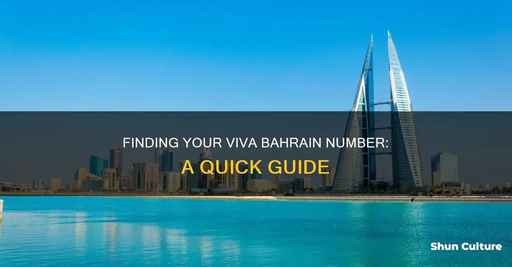 how can I know my viva bahrain number