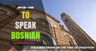 Master Bosnian: Effective Tips and Strategies to Speak Fluently Fast