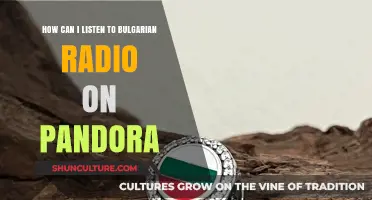Exploring Bulgarian Radio on Pandora: A Comprehensive Guide