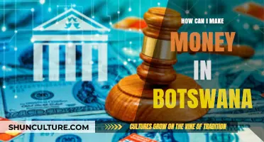Unlocking Botswana's Wealth: Smart Strategies to Earn Money Locally