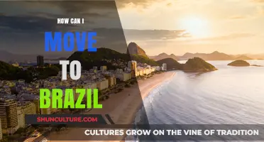 Relocating to Brazil: Essential Steps for a Smooth Transition
