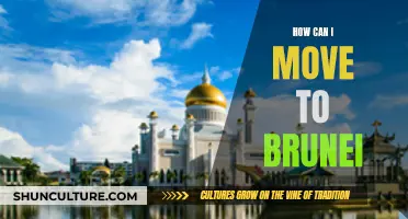 Moving to Brunei: A Guide to Relocating Smoothly