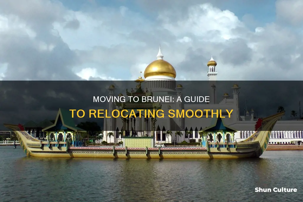 how can I move to brunei