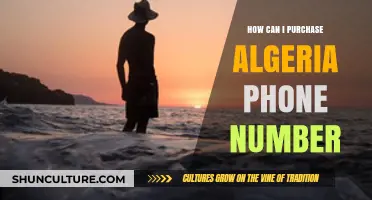 How to Easily Purchase an Algeria Phone Number Online
