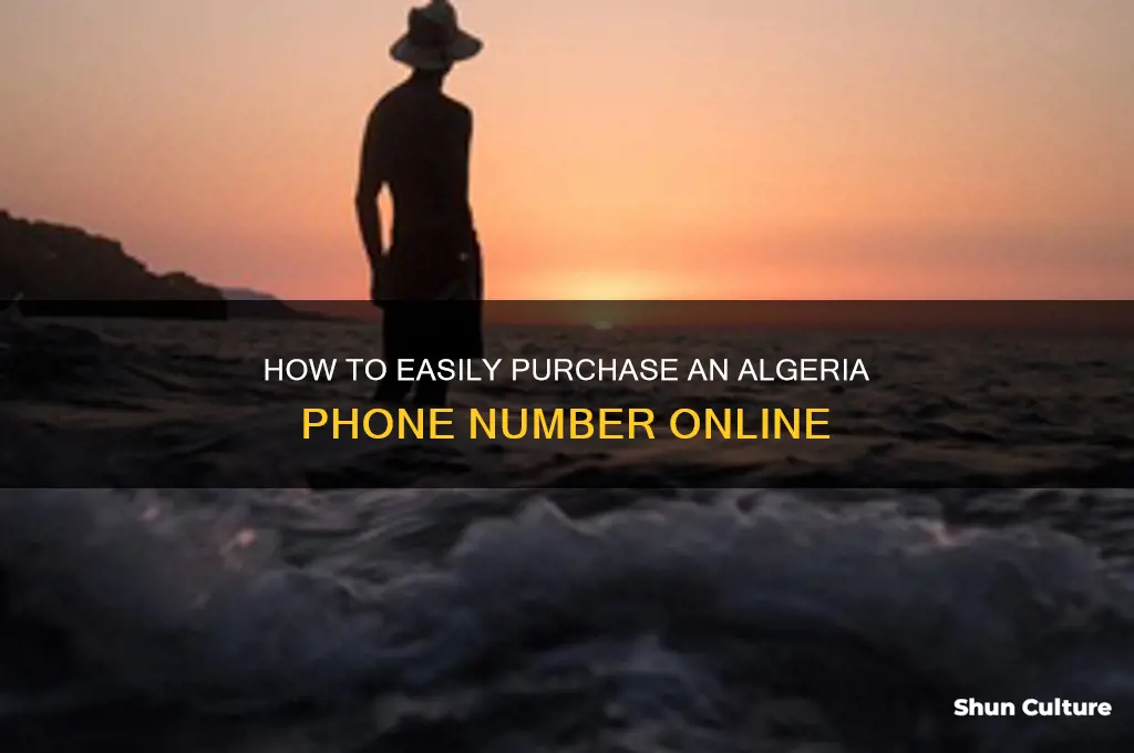 how can I purchase algeria phone number