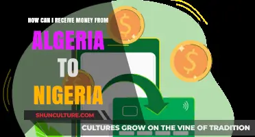 Efficient Ways to Receive Money from Algeria to Nigeria