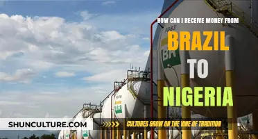 How to Receive Money from Brazil to Nigeria: A Comprehensive Guide